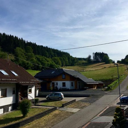 Ferienwohnung Am Nuerburgring/Wintersport Arft Acht Ngoại thất bức ảnh
