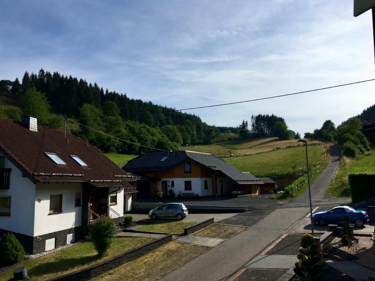 Ferienwohnung Am Nuerburgring/Wintersport Arft Acht Ngoại thất bức ảnh