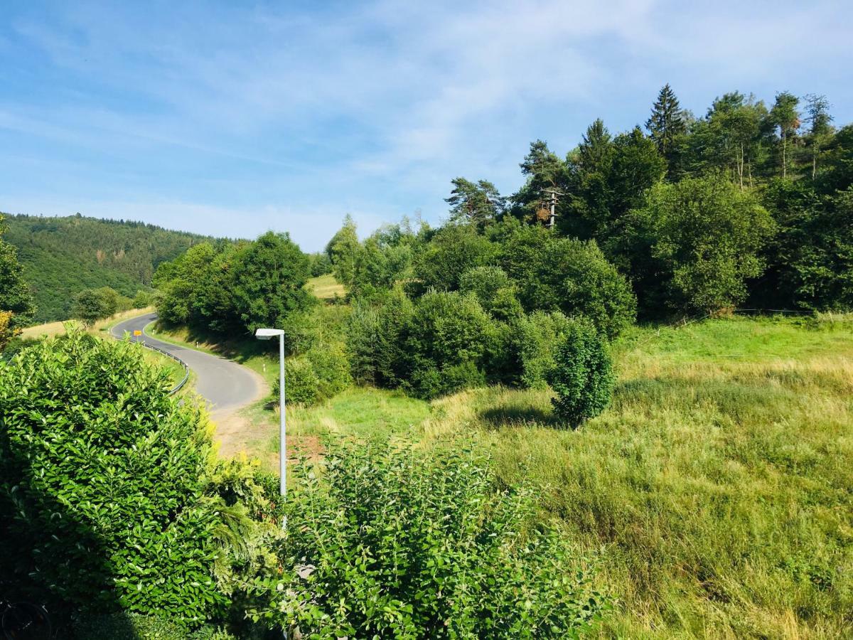 Ferienwohnung Am Nuerburgring/Wintersport Arft Acht Ngoại thất bức ảnh
